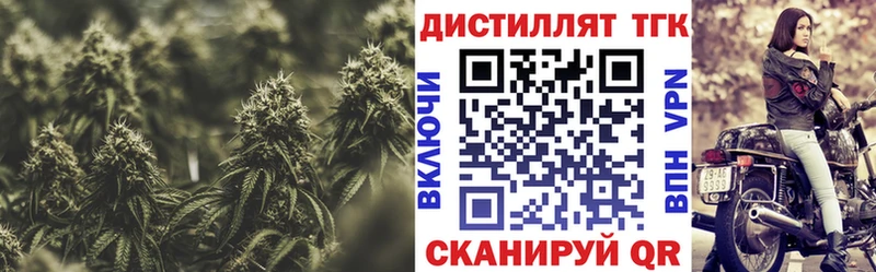 ТГК гашишное масло  Купить где  Куса 