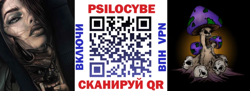 Купить где  Куса  Псилоцибиновые грибы прущие грибы 